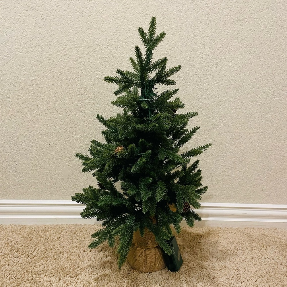 Miniature Christmas Tree! (Lights/Battery Pack Included)